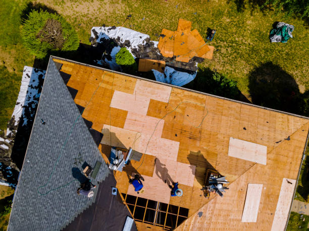 Best Storm Damage Roof Repair  in Greenup, KY