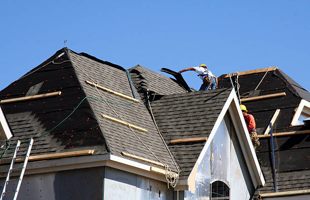 Best Roof Gutter Cleaning  in Greenup, KY