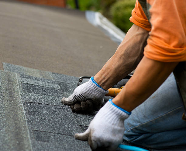 Best Emergency Roof Repair  in Greenup, KY