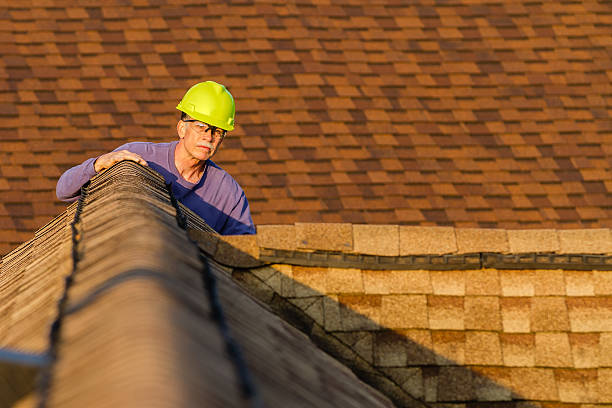 Best Roof Maintenance Services  in Greenup, KY
